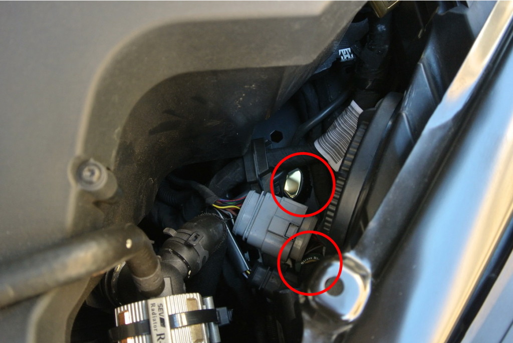 DSC_5139 - コピー