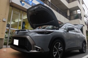 600374786_1440804084461503_2328996956316794389_n