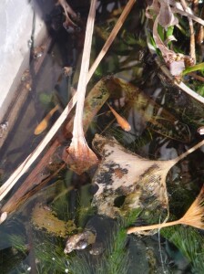 616749163_3306213696208195_7807679210962666707_n