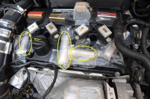 ｼﾄﾛｴﾝDS4_Prｴﾝｼﾞﾝﾁｭｰﾅｰ (2)