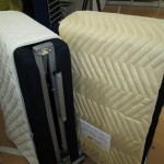 ﾌｧﾝｽﾘｰﾌﾟ