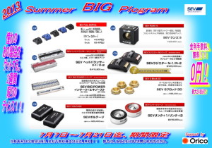 13ｻﾏｰﾋﾞｯｸﾞﾌﾟﾛｸﾞﾗﾑ